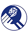 平頭哥隊(duì)